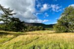 Plot 1 at Chapel Brae, Braemar