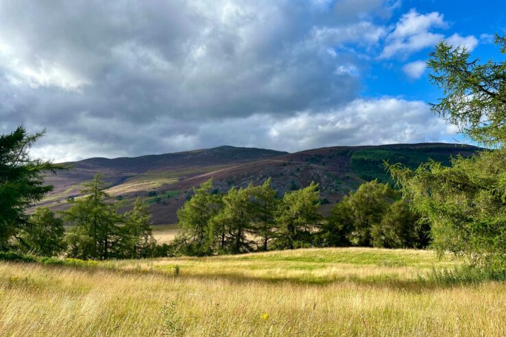 Plot 1 at Chapel Brae, Braemar